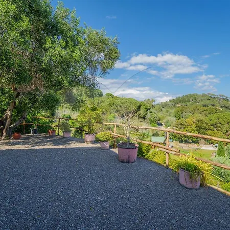 La Palazzina Nel - Goelba Guest house *
