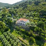 La Palazzina Nel - Goelba 3* Casa Alzi